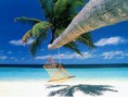 /album/tus-suenos-al-alcance-de-tu-mano/beach-wallpapers-2-copia-jpg1/